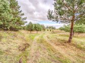 Parduodamas 50 aro žemės sklypas Molėtų - nuotraukos Nr. 11