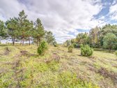 Parduodamas 50 aro žemės sklypas Molėtų - nuotraukos Nr. 12