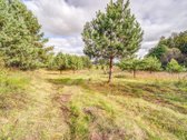 Parduodamas 50 aro žemės sklypas Molėtų - nuotraukos Nr. 15