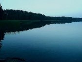 Ant šimtamečio pušyno kalvos, - nuotraukos Nr. 2