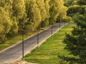 Parduodamas vienbučių ir dvibučių gyvenamųjų - nuotraukos Nr. 9