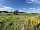 Parduodamas Namų Valdos Sklypas Vilniaus r. - nuotraukos Nr. 4