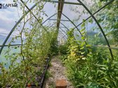 Parduodamas sodo sklypas su pastatytu ir - nuotraukos Nr. 20