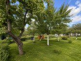 Parduodamas sodo sklypas 6.99a su nameliu 78 - nuotraukos Nr. 16