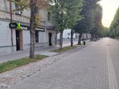 Vieta! Vieta! Vieta! - nuotraukos Nr. 7