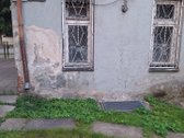 Vieta! Vieta! Vieta! - nuotraukos Nr. 14