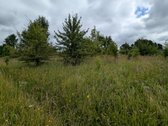Tel. Pasiteiravimui nulis šeši 1679009 - nuotraukos Nr. 9