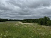 Parduodamas 160,00 a (1,6000 ha) žemės ūkio - nuotraukos Nr. 2