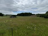 Parduodamas 50,38 a (0,5038 ha) žemės ūkio - nuotraukos Nr. 3