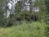 Parduodamas 41,07 a (0,4107 ha) žemės ūkio - nuotraukos Nr. 3