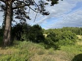 Parduodamas 68,38 a (0,6838 ha) žemės ūkio - nuotraukos Nr. 2