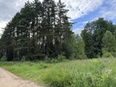 Parduodamas 33,39 a (0,3339 ha) žemės ūkio - nuotraukos Nr. 2