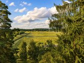 Prasideda Iv Bičiulių terasų etapas, kuriame - nuotraukos Nr. 9