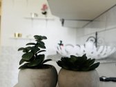 Jaukus Ir Erdvus 1 Kambario Butas Šeškinėje – - nuotraukos Nr. 9