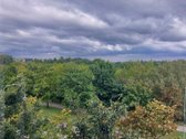 Nuomojamas naujai įrengtas 2 kambarių butas - nuotraukos Nr. 13