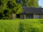 Yra namų, kuriuos perki dėl naujo remonto. O - nuotraukos Nr. 22