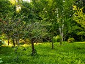 Yra namų, kuriuos perki dėl naujo remonto. O - nuotraukos Nr. 32