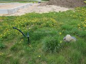 Parduodamas 8,76 arų žemės sklypas Ginkūnų k. - nuotraukos Nr. 8