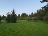 Parduodama Išpuoselėta Vienkiemio Sodyba Prie - nuotraukos Nr. 28