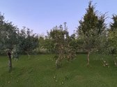 Parduodama Išpuoselėta Vienkiemio Sodyba Prie - nuotraukos Nr. 32