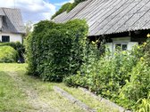 Sodyba 25 arų, joje stovi 3 pastatai. Už namo - nuotraukos Nr. 20