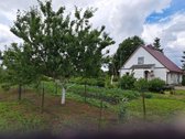 Parduodama jauki sutvarkyra gyvenimui žiemą - nuotraukos Nr. 12