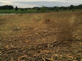 Sklypas ribojasi su tvenkiniu ir žvyro keliu. - nuotraukos Nr. 2