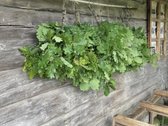 Parduodama Išpuoselėta Vienkiemio Sodyba Prie - nuotraukos Nr. 41
