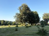 Jokio Komisinio Brokeriui!  - nuotraukos Nr. 18