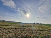 Arduodame sodybą su 13,13 ha žemės sklypu** - nuotraukos Nr. 15