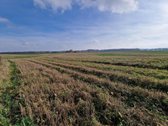 Arduodame sodybą su 13,13 ha žemės sklypu** - nuotraukos Nr. 14