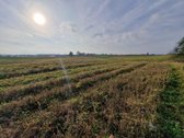 Arduodame sodybą su 13,13 ha žemės sklypu** - nuotraukos Nr. 12