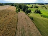 Lazdijų r. sav., Seirijų sen., Paserninkų k. - nuotraukos Nr. 5