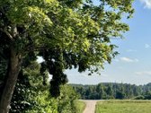 Parduodama Sodyba Su 8,76 Ha Sklypu Ir - nuotraukos Nr. 17