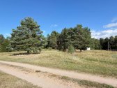 Druskininkų sav., Grūto k. - nuotraukos Nr. 2
