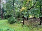 Reta Galimybė Jeruzalėje – Tik Viena Bendra - nuotraukos Nr. 11