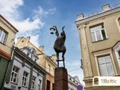 Erdvus trijų kambarių butas su vaizdais į Šv. - nuotraukos Nr. 38