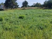 Parduodamas Namų Valdos sklypas - 13.66a. - nuotraukos Nr. 5