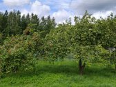 Vilniaus raj. Bratoniškių km.SB "Girija" - nuotraukos Nr. 4