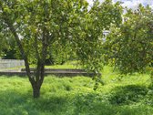 Vilniaus raj. Bratoniškių km.SB "Girija" - nuotraukos Nr. 7