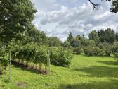 Išpuoselėta Vienkiemio Sodyba Prie Minijos – - nuotraukos Nr. 61