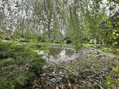Panevėžio r. sav., Samanynės k. - nuotraukos Nr. 48