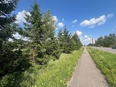 Parduodamas 40 Arų Gyvenamosios Paskirties - nuotraukos Nr. 7