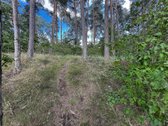 Jonavos rajone, Guldynuose parduodamas erdvus - nuotraukos Nr. 13