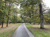 Vienoje žaviausių miesto vietų - Kauno - nuotraukos Nr. 17
