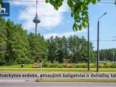 Rytinė Kava Virš Miesto  51 M²  2 Balkonai - nuotraukos Nr. 29