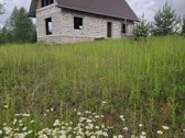 11 a - 36 300 eur. - nuotraukos Nr. 3