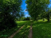 Parduodama sodyba vienkiemyje Gikonių k., - nuotraukos Nr. 12