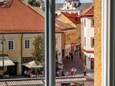 Parduodami 163 kv.m apartamentai Vilniaus - nuotraukos Nr. 2
