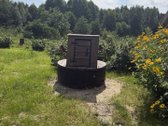 Išskirtinė Gamtos Apsupta Sodyba – Ramybė, - nuotraukos Nr. 27